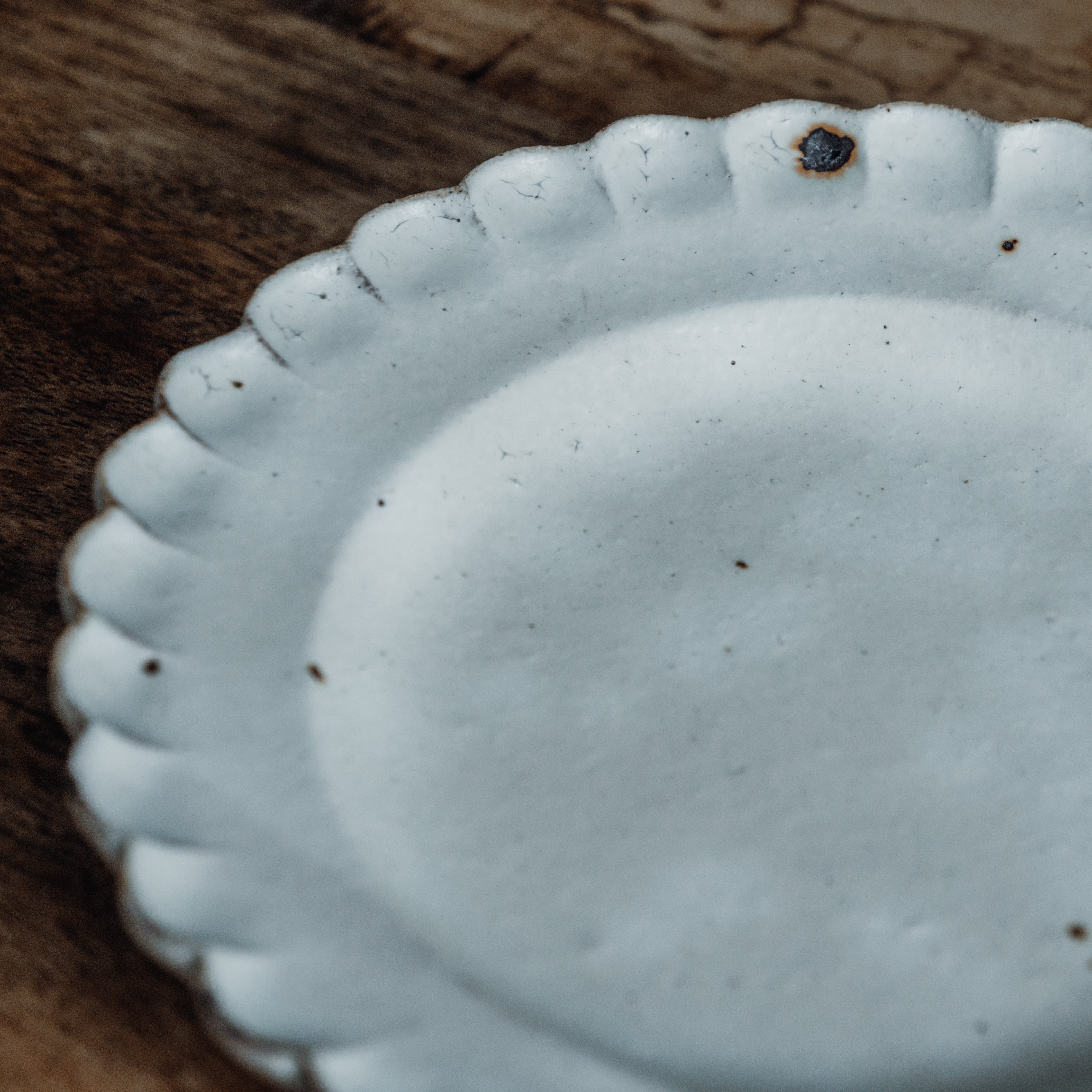 小菊プレート shiromoegi 中 – sui.