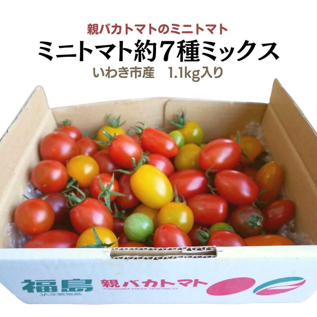 ミニトマト約7種ミックス1.1kg【おためしサイズ】 税込1620円 | 親