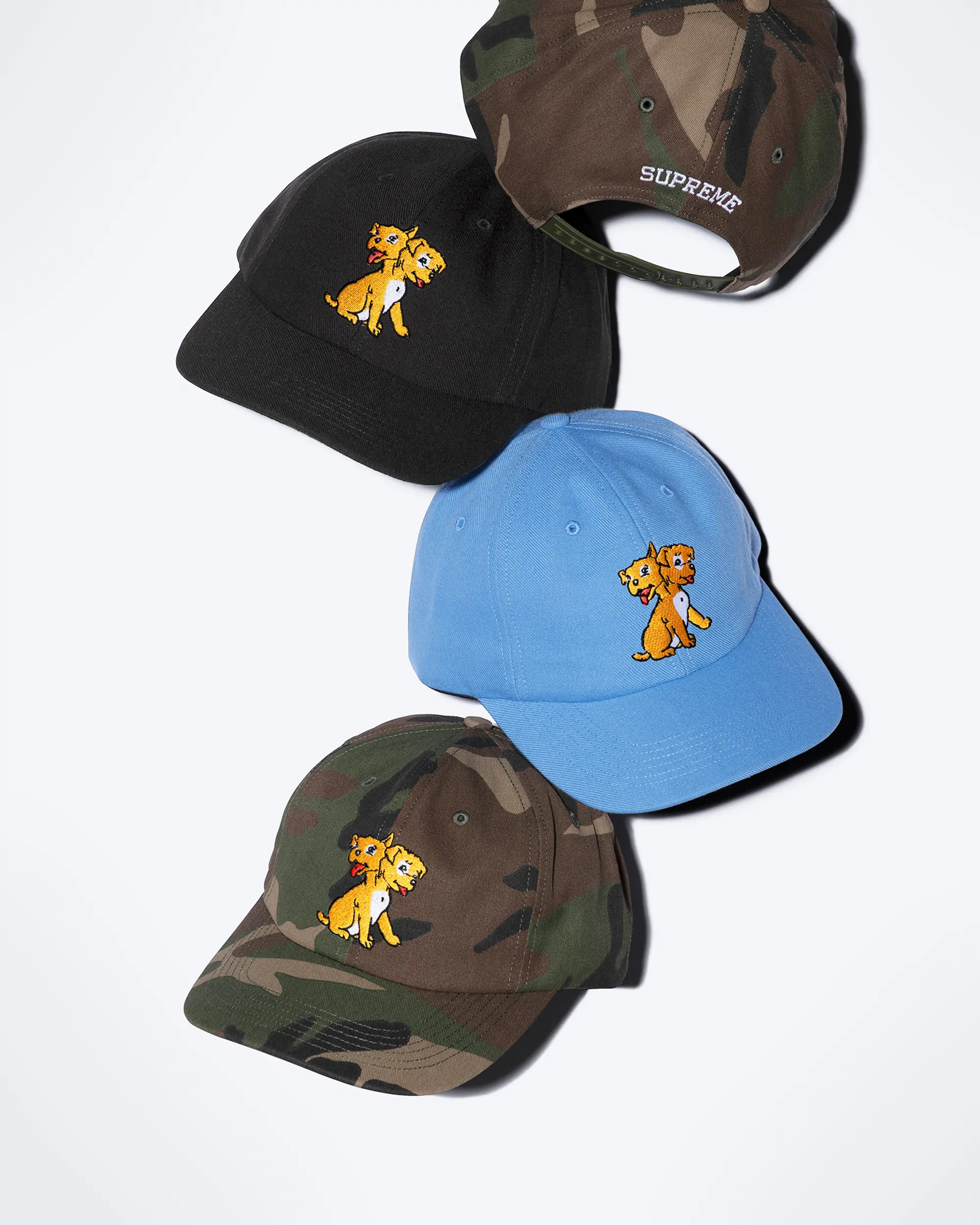 Supreme/Melvins 6-Panel | Supreme 24ss