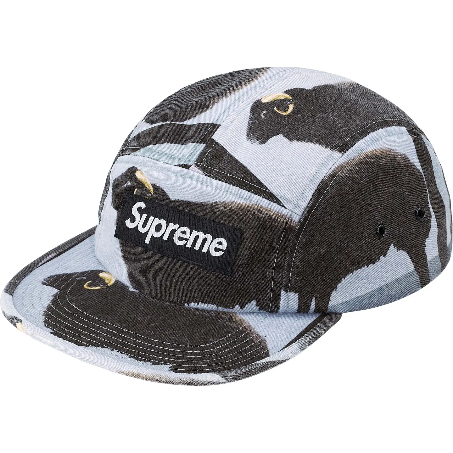 Supreme/Damien Hirst Camp Cap | Supreme 25ss