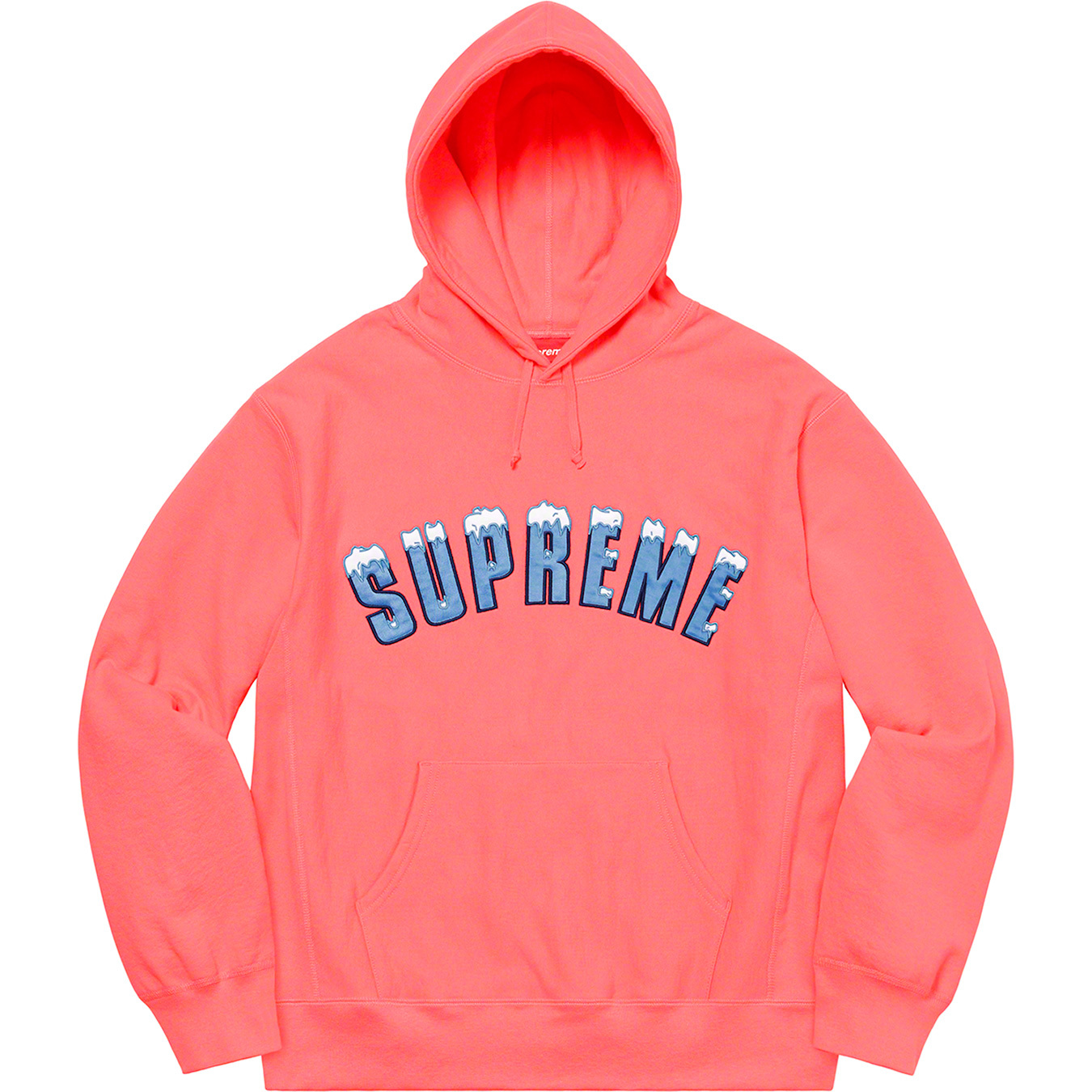 Icy Arc Hooded Sweatshirt | Supreme 20fw