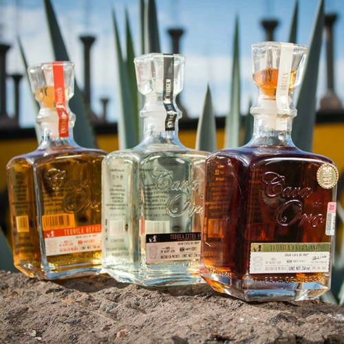 Cava de Oro エクストラ・アネホ | 紀ノ国屋 公式オンラインストア